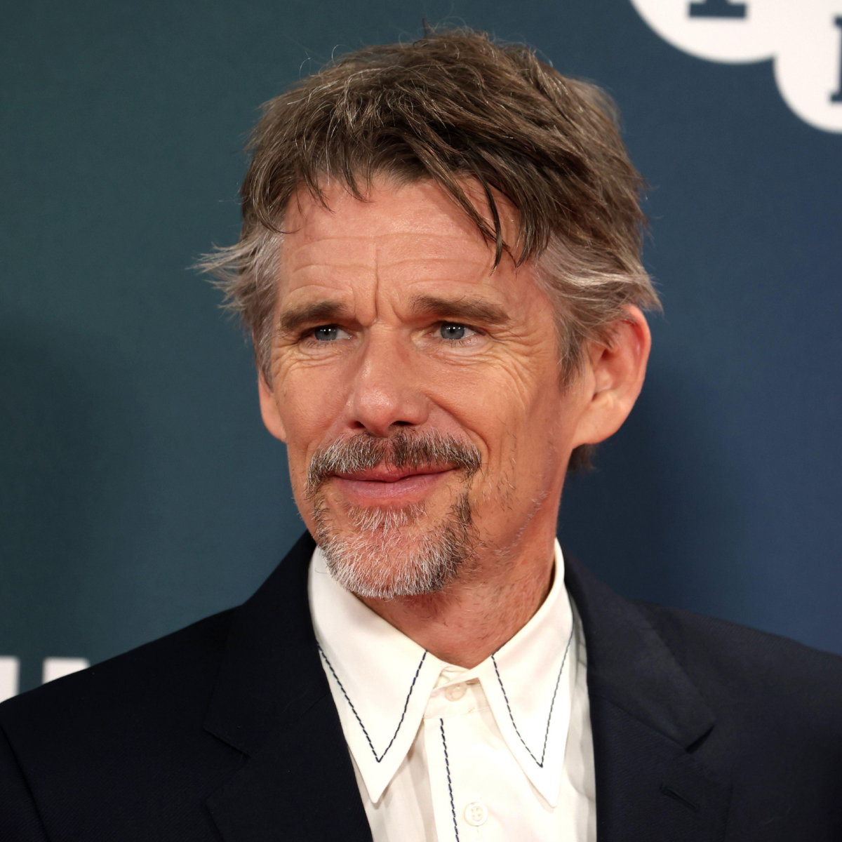 jamniki (2) - Ethan Hawke