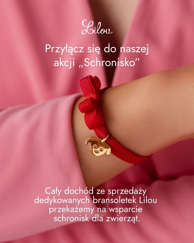 Akcja Schronisko LILOU