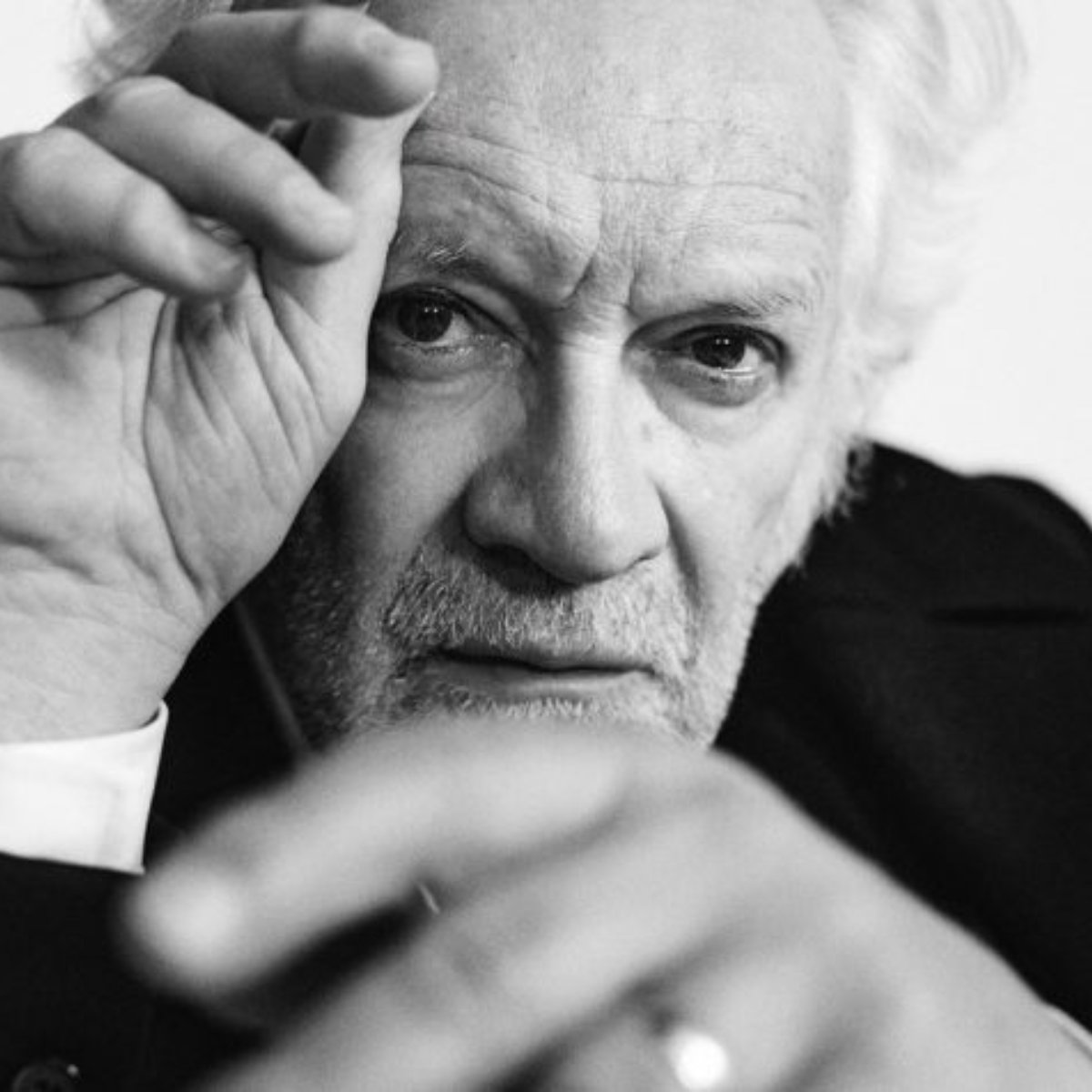 jamniki (2) - Andrzej Seweryn, Viva! Man, 2023.