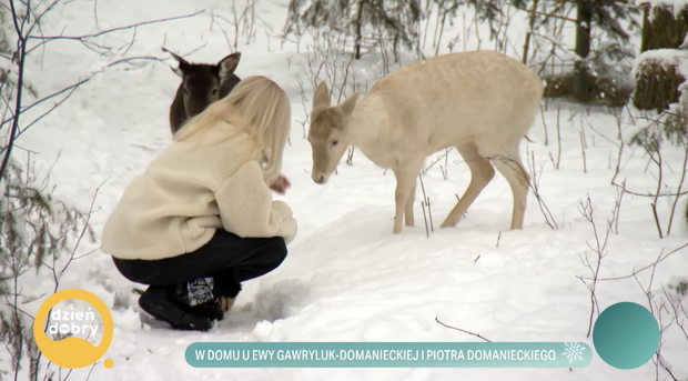 Zwierzęta Ewy Gawryluk