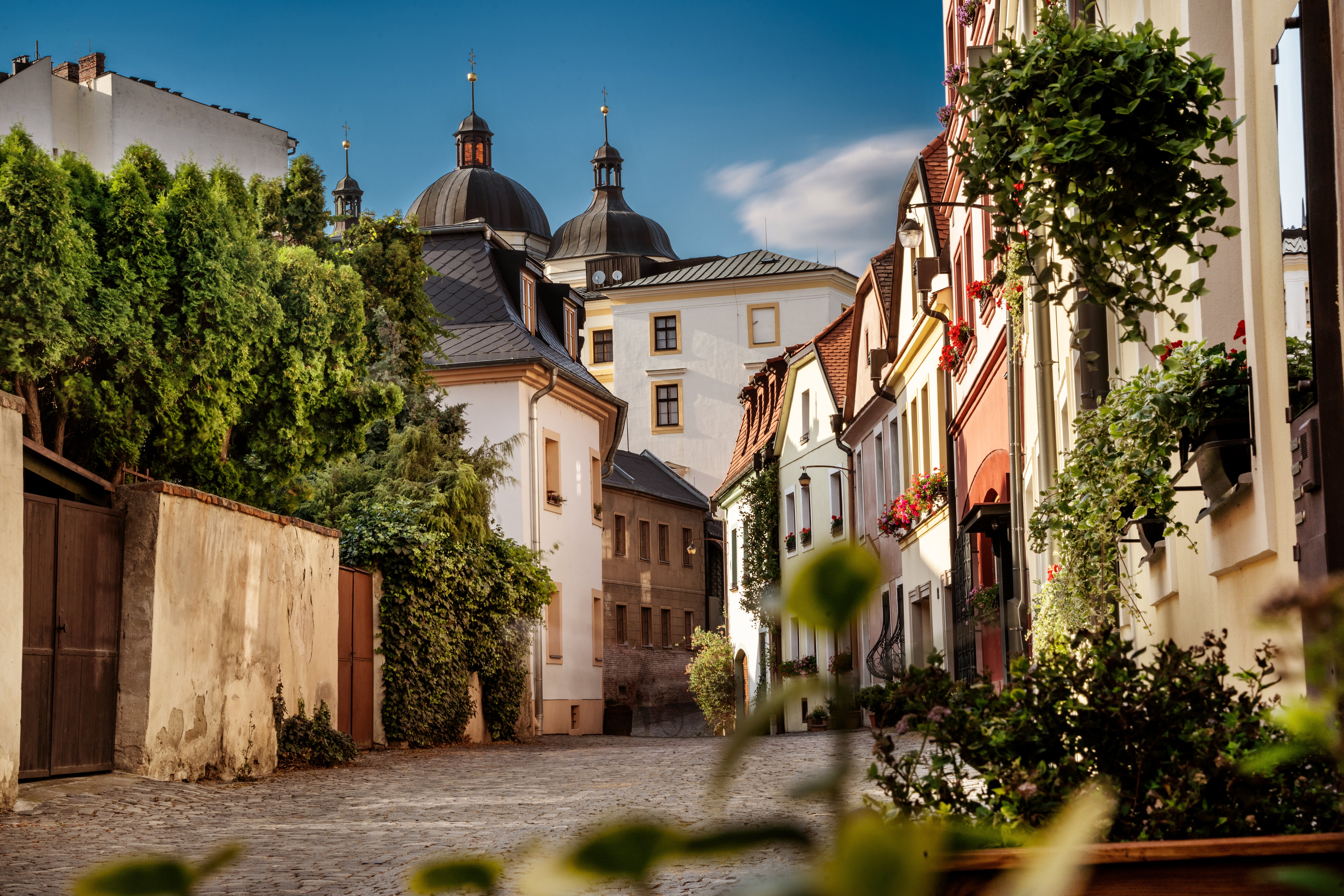 Ołomuniec