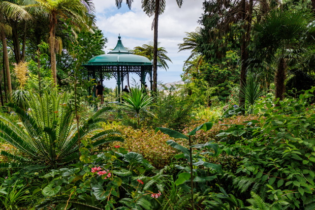 Monte Palace Tropical Garden – egzotyczny ogród pełen roślin z całego świata