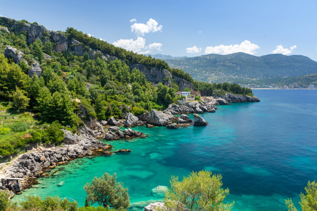 Albania na wakcje 2026