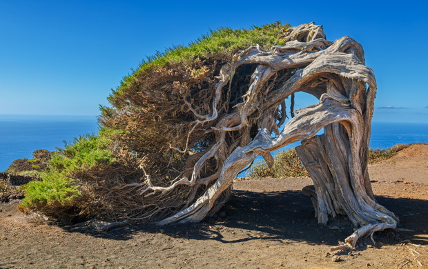 El Hierro