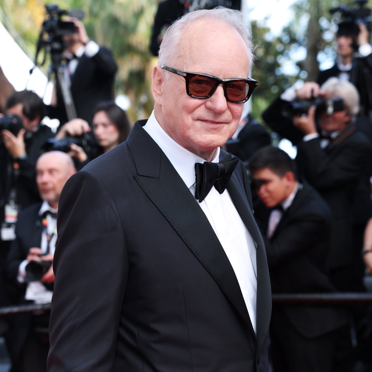 jamniki (2) -Stellan Skarsgård, Cannes, 2025 r.
