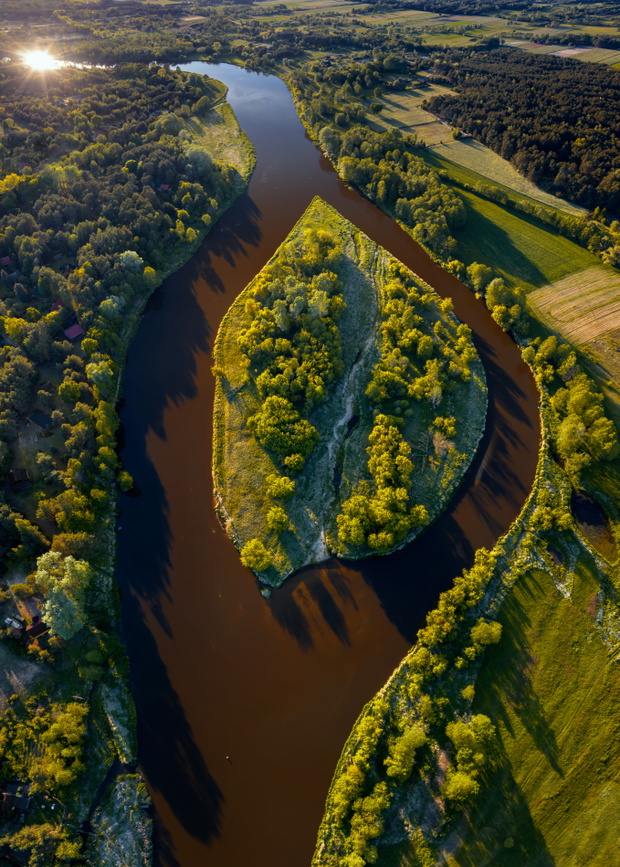 Narew