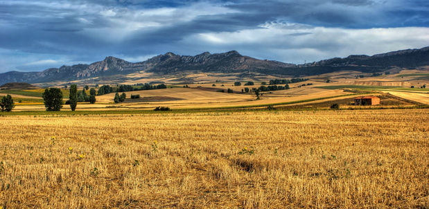 La Mancha