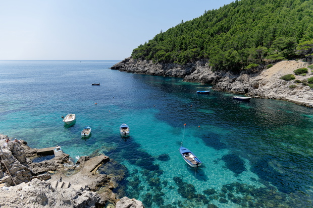 Zatoka Mljet