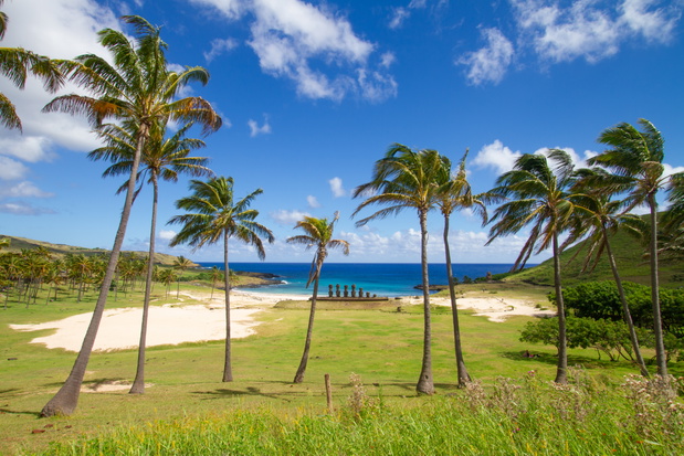 Moai w Ahu Tongariki