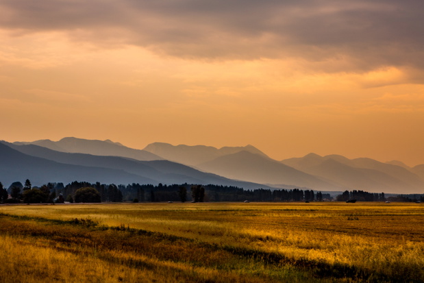 Montana