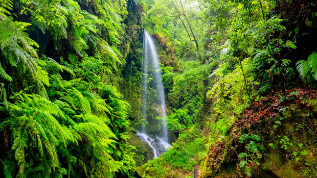 La Palma