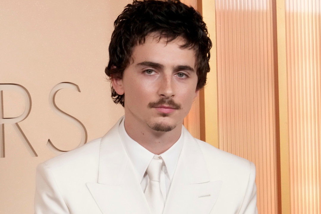 jamniki (2) - 2Timothée Chalamet