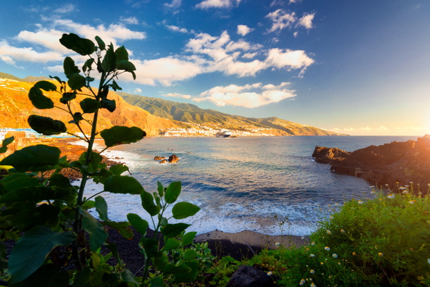 La Palma