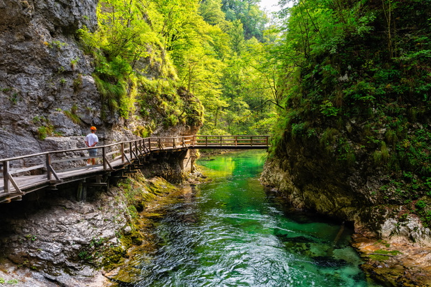 Spacer wąwozem Vintgar Gorge to niezapomniane przeżycie.