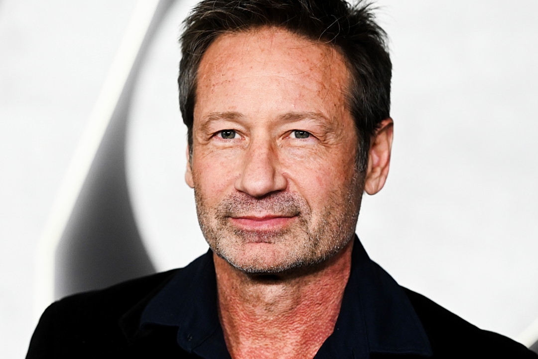 David Duchovny, 2023