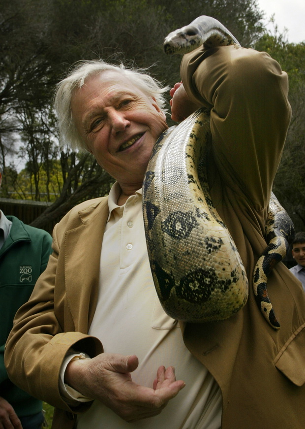 David Attenborough, 2003 rok