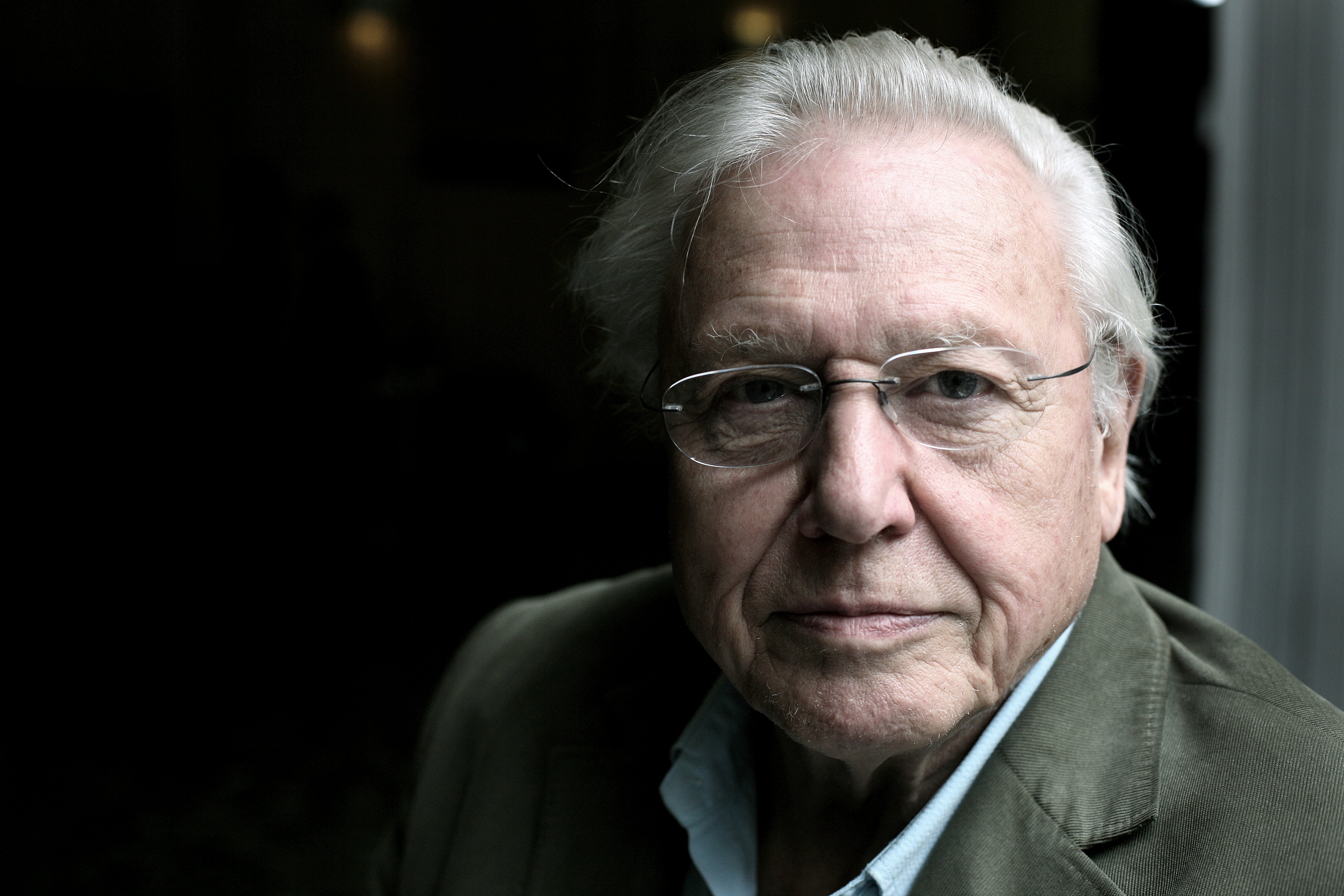 David Attenborough, 2011 rok