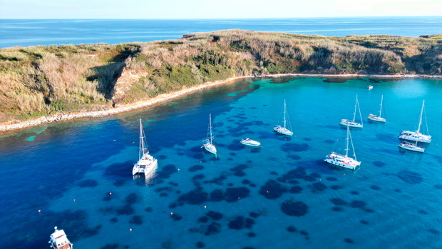 Susak