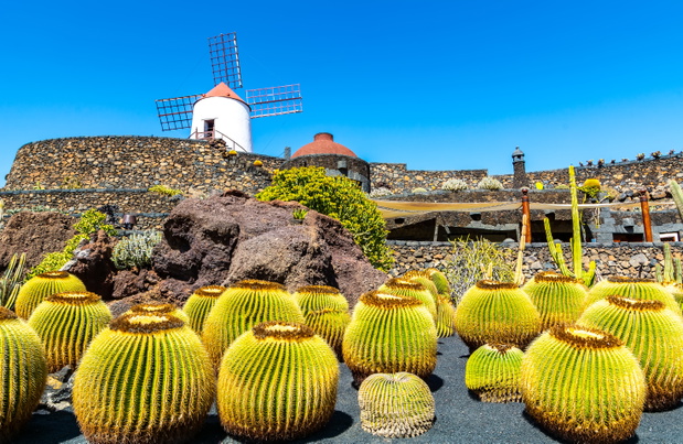Jardin de Cactus w Guatiza, Lanzarote