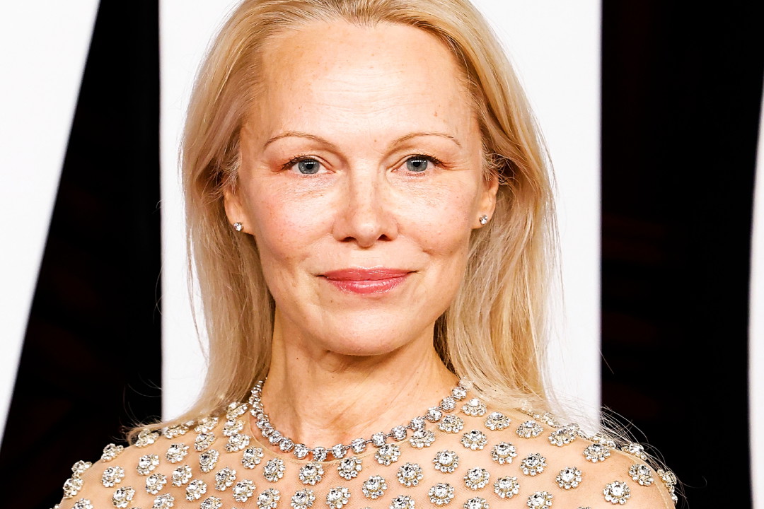 Pamela Anderson, 2024
