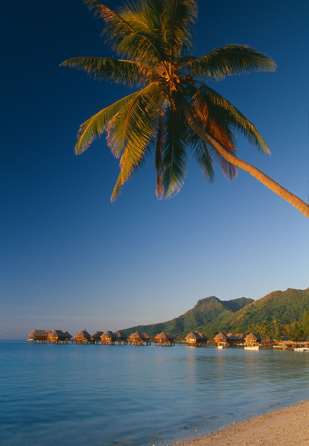 beach huts and coast Moorea French Polynesia Tahiti