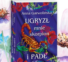 jamniki nowe (91)
