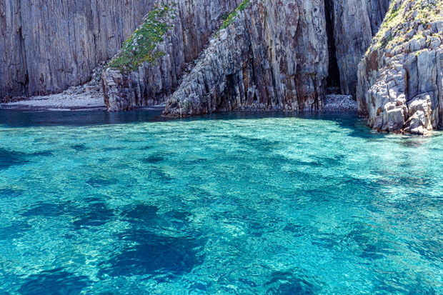 Palmarola