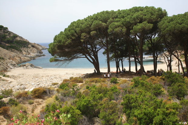 Plaże na Montecristo