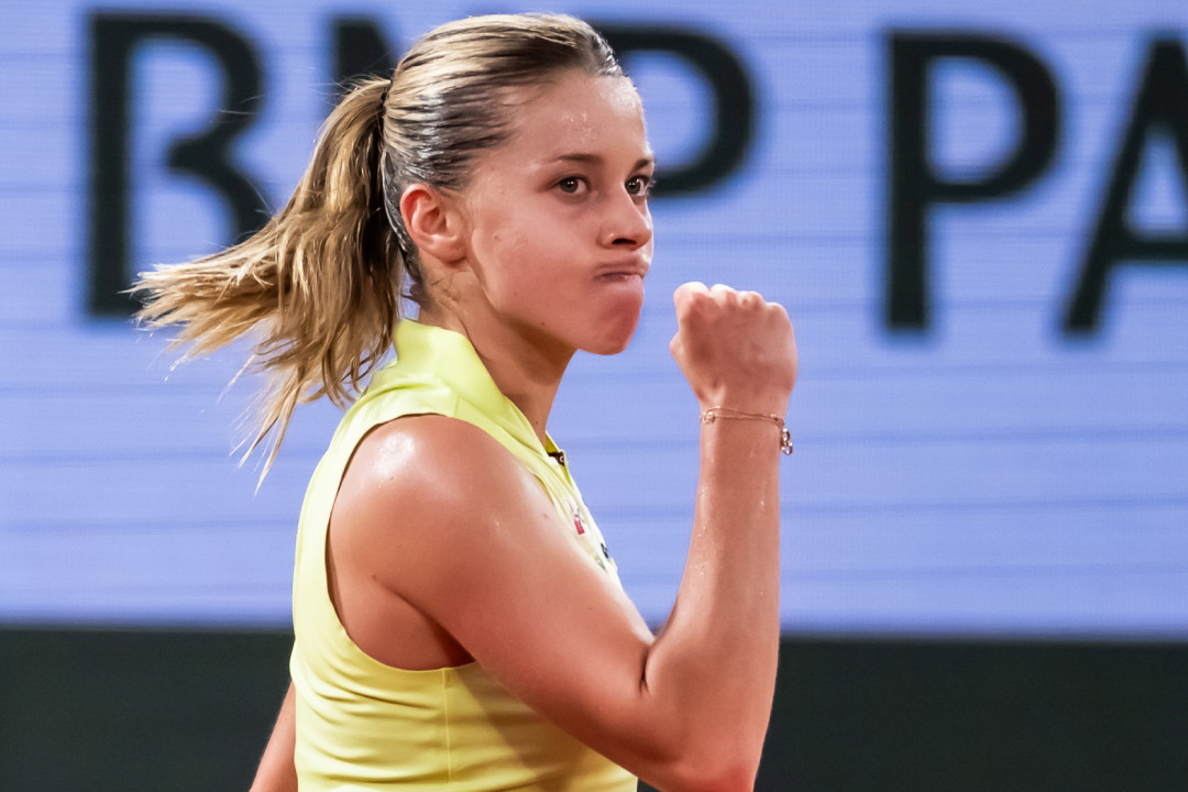 jamniki nowe (97)