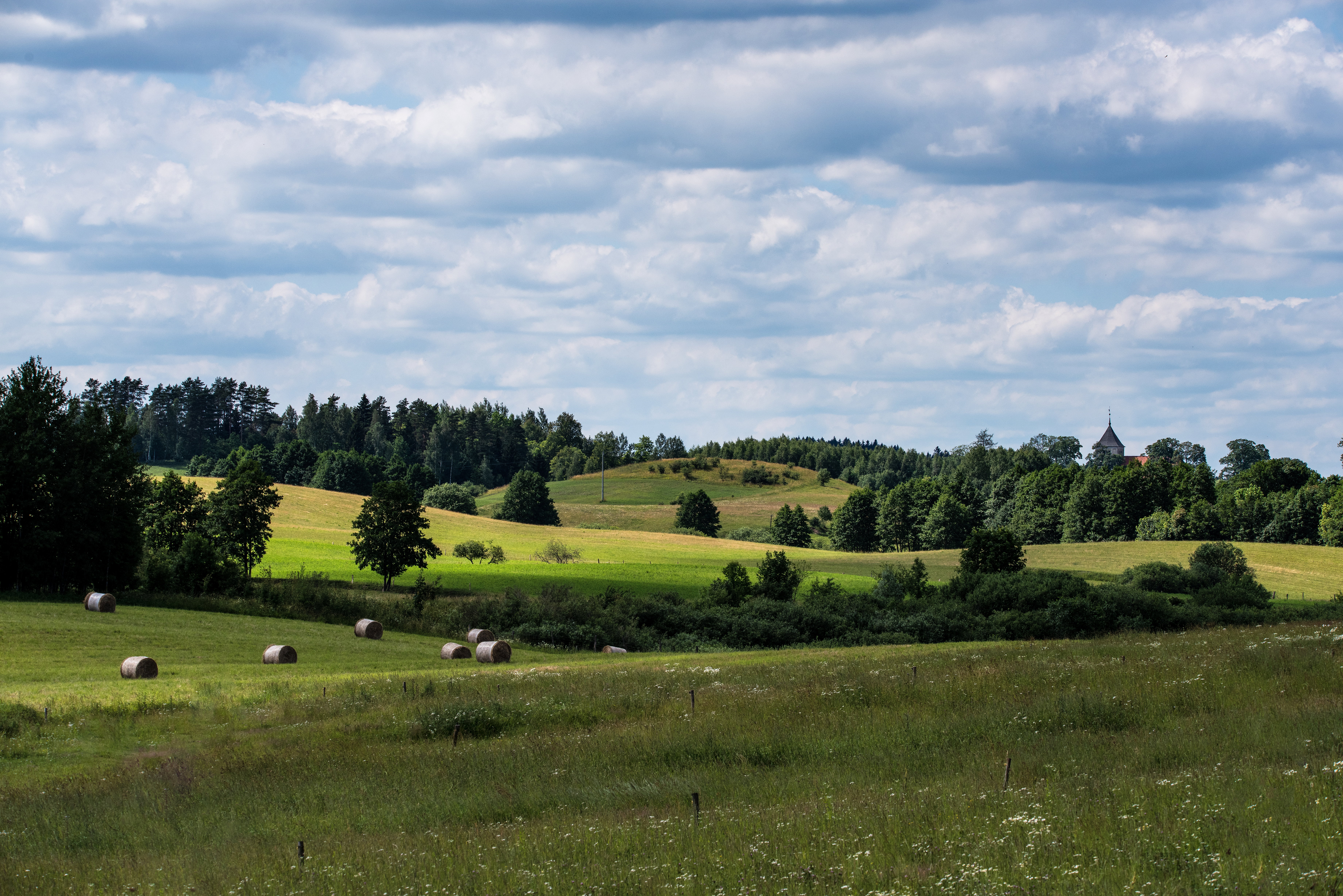 Mazury Garbate