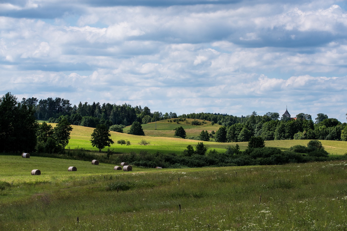 Mazury Garbate