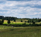 Mazury Garbate