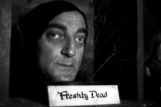 "Młody Frankenstein"