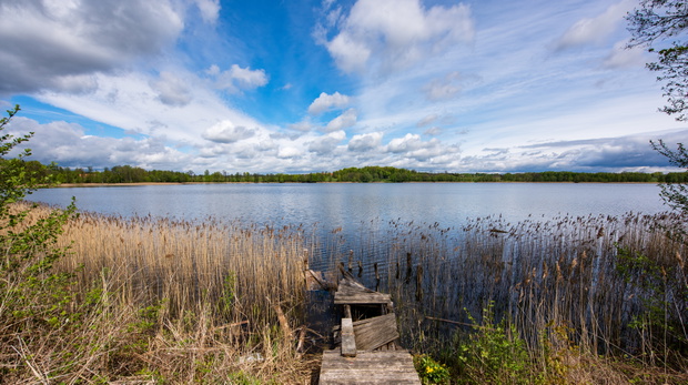 Mazury Garbate