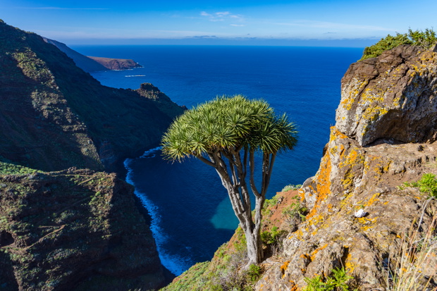 La Palma
