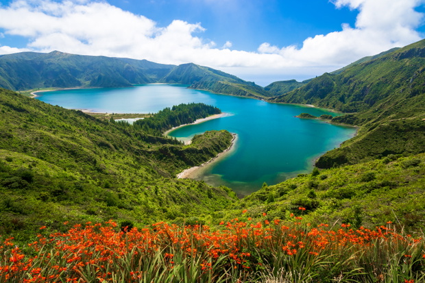 Malowniczy widok na turkusowe wody Lagoa do Fogo (Jeziora Ognia) w słoneczny letni dzień. Na pierwszym planie kwitnące kwiaty, a w tle krajobraz wyspy São Miguel na Azorach w Portugalii