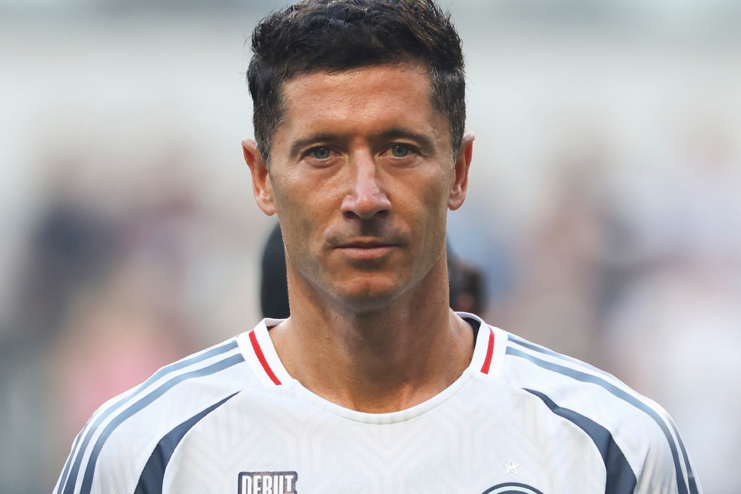 jamniki nowe (53)