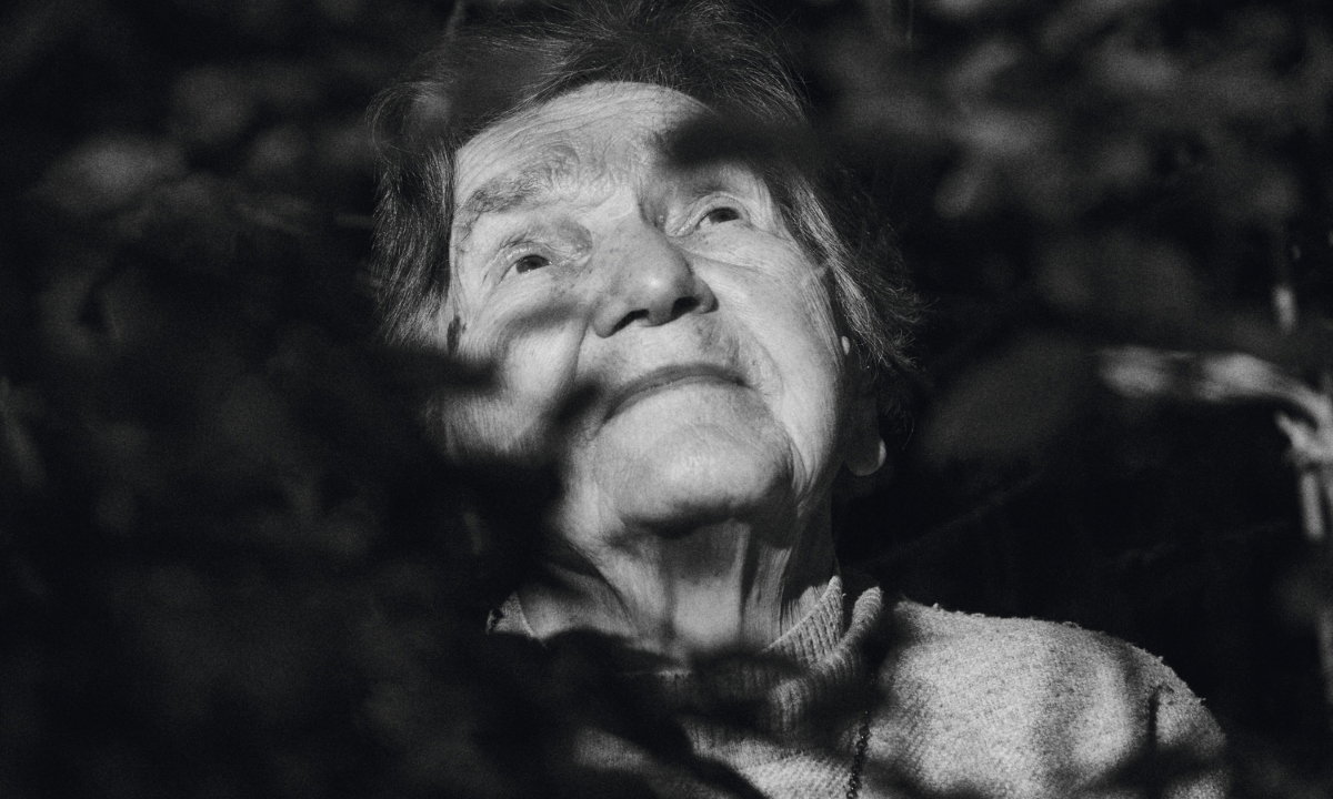 Wanda Traczyk-Stawska, Viva! 23/2023