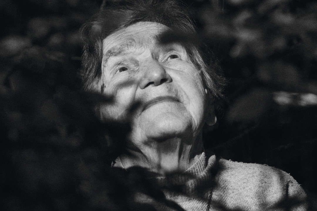 Wanda Traczyk-Stawska, Viva! 23/2023