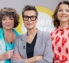 jamnik Katarzyna Grochola, Danuta Stenka, Joanna Jabłczyńska