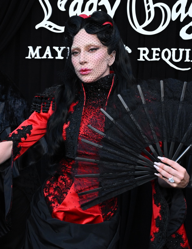 Lady Gaga, 14