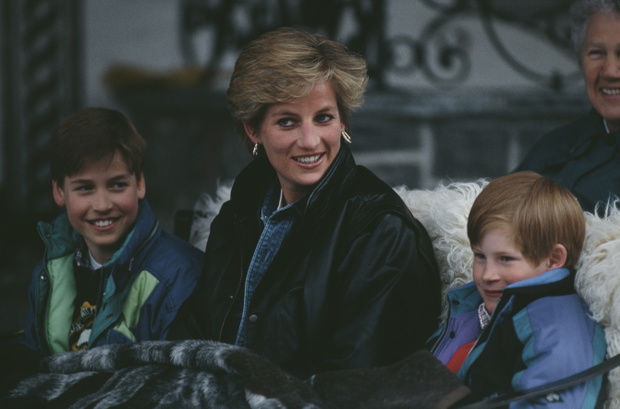 Księżna Diana, Książę William, książę Harry, 1993