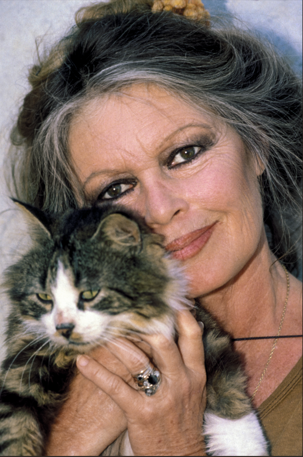 Zdjęcie Brigitte Bardot z kotem z azylu dla zwierząt, który odwiedziła wiosną 1991 roku.