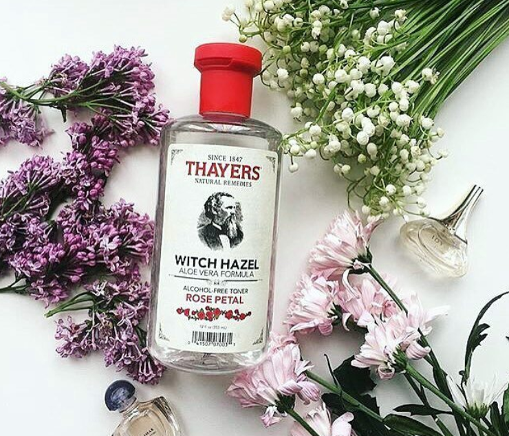 Thayers Rose Petal Witch Hazel Toner