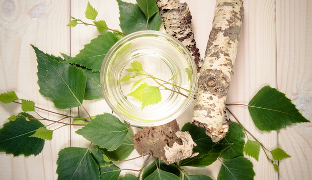 A glass of birch juice on wooden background