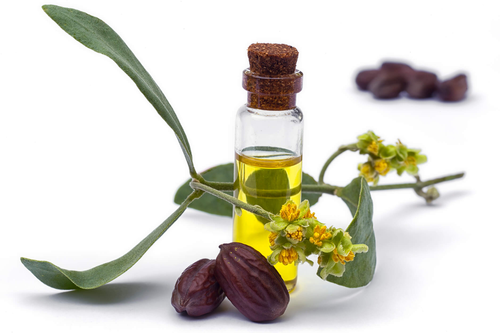 olej jojoba na włosy