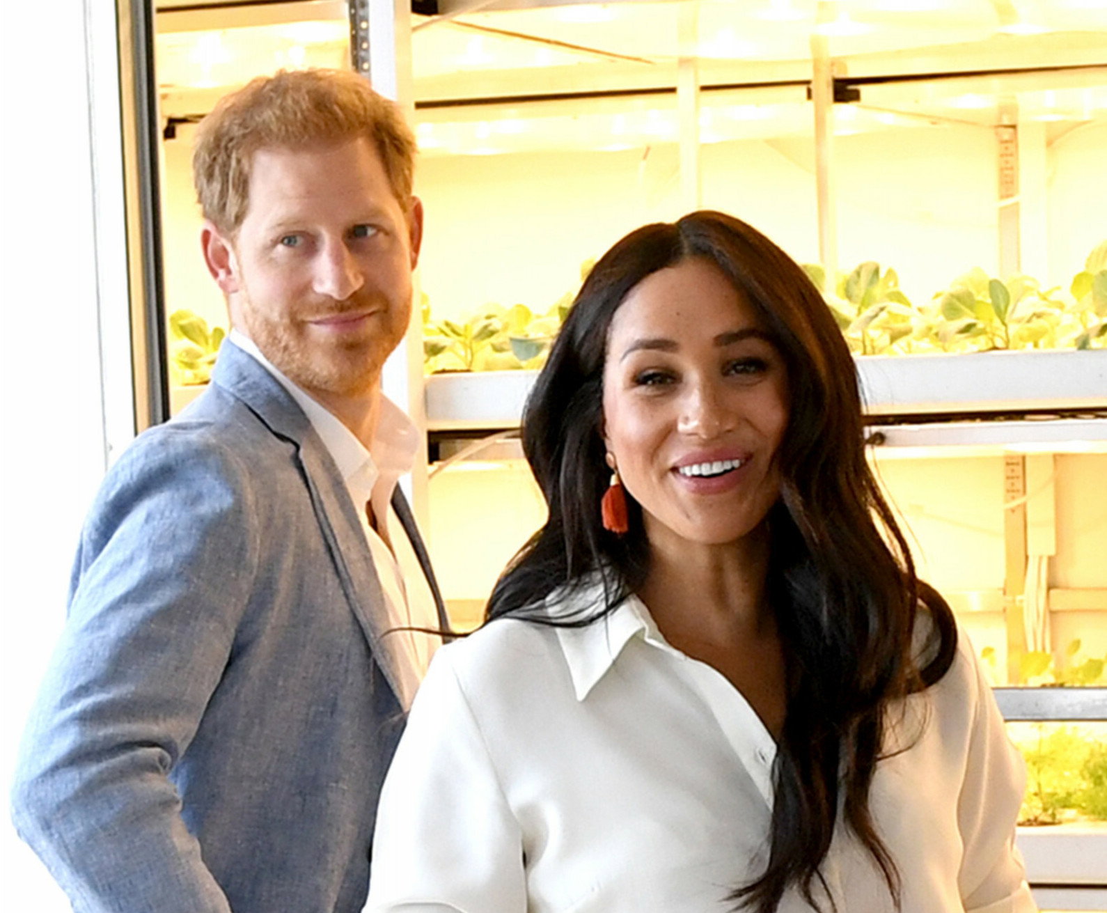 Meghan i Harry zaliczyli zabawną wpadkę podczas wybieraniu świątecznej choinki