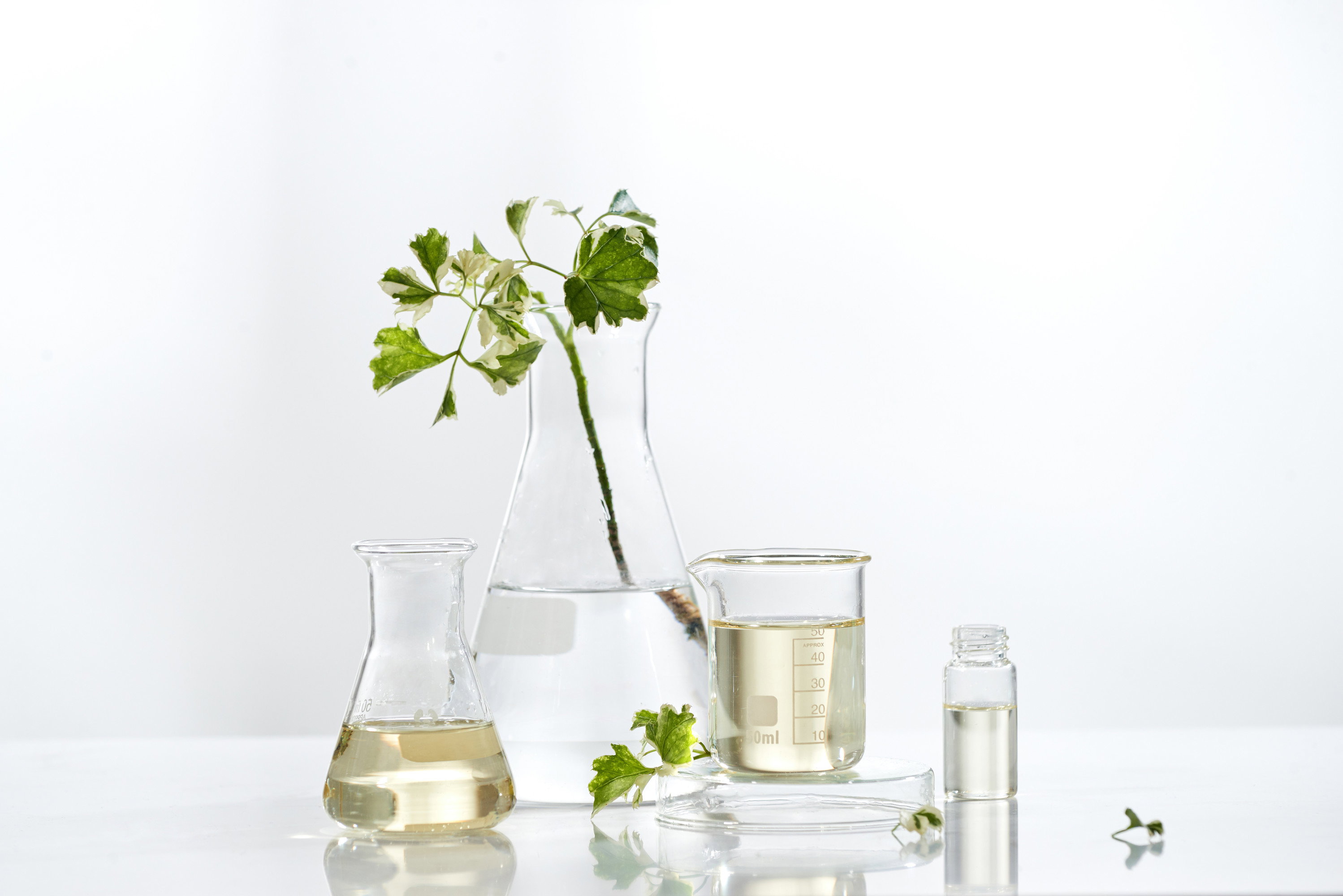 AdobeStock_220498097