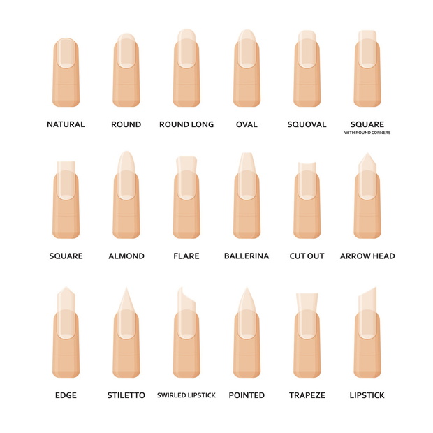 Different shapes of nails set. Collection of fashion female nail forms. Professional manicure. Vector illustration.
