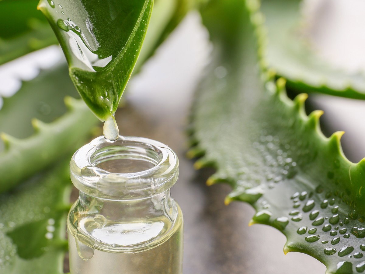 aloes-na-skórę
